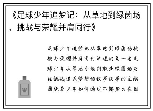 《足球少年追梦记:从草地到绿茵场,挑战与荣耀并肩同行》