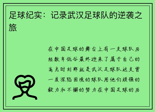 足球纪实：记录武汉足球队的逆袭之旅